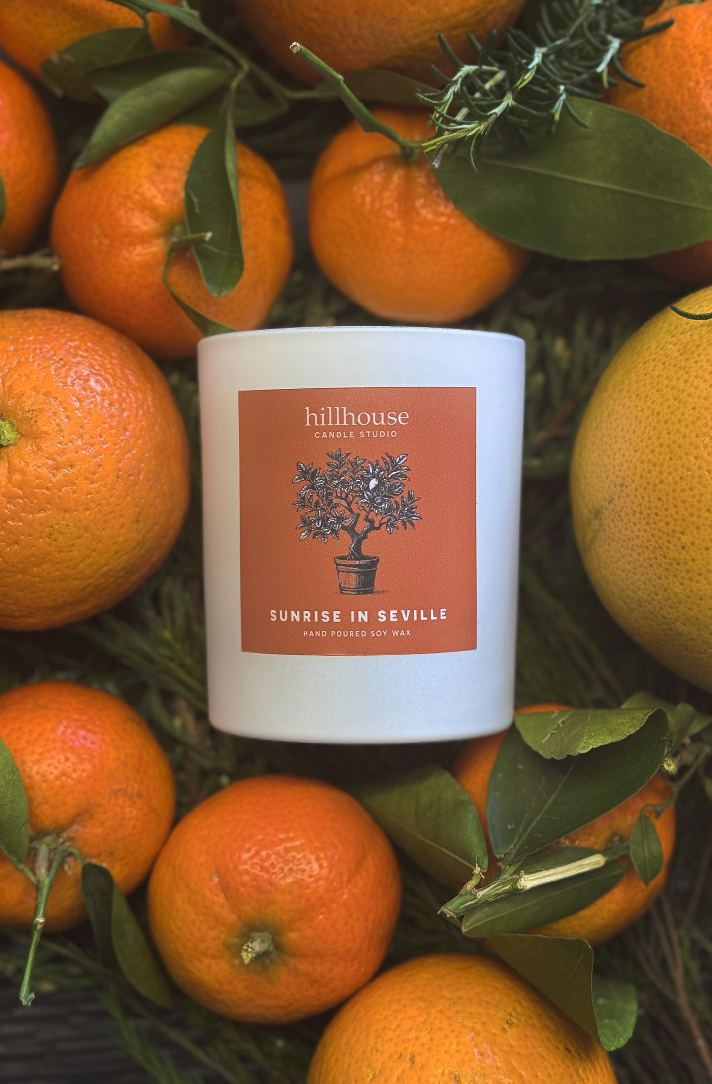Sunrise In Seville Soy Candle