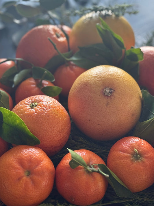 Sunrise In Seville Soy Candle