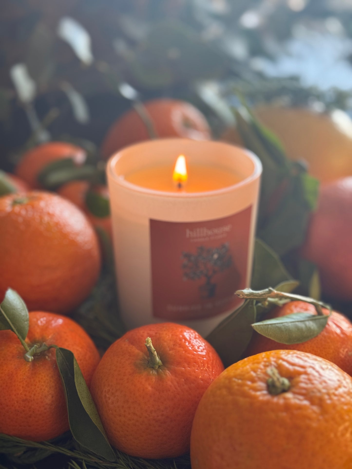 Sunrise In Seville Soy Candle