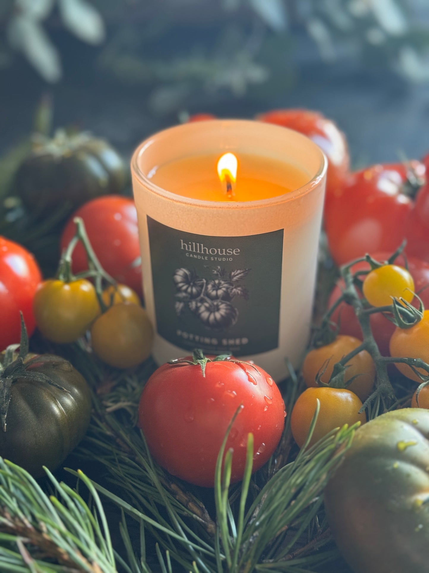 Potting Shed Soy Candle