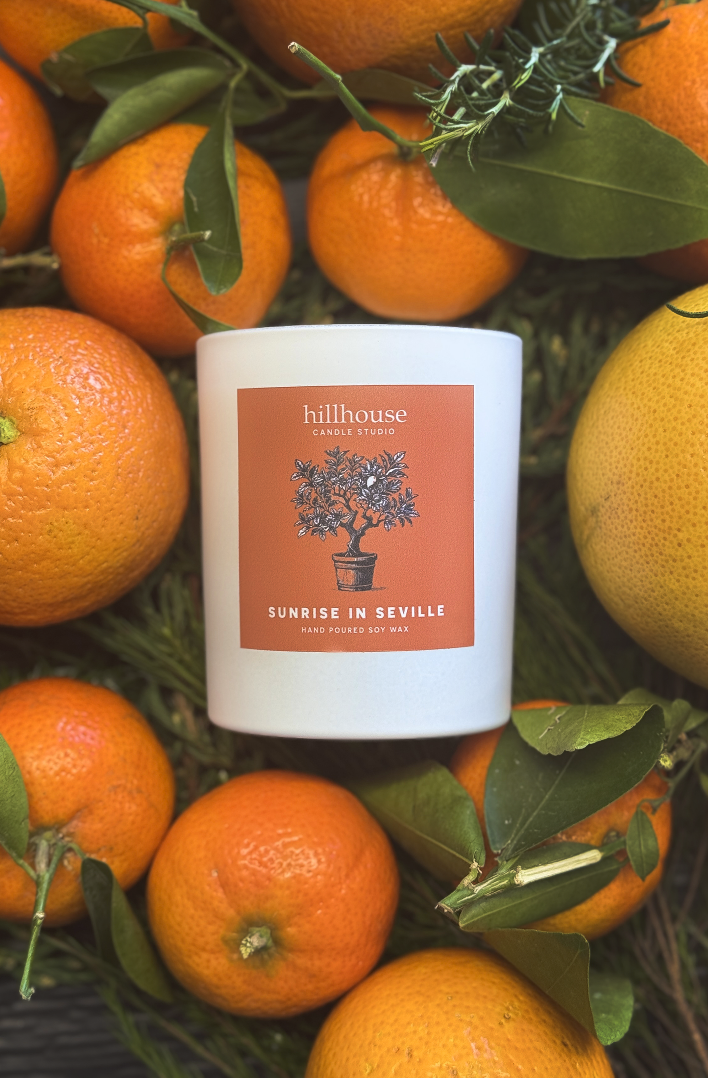 Sunrise In Seville Soy Candle