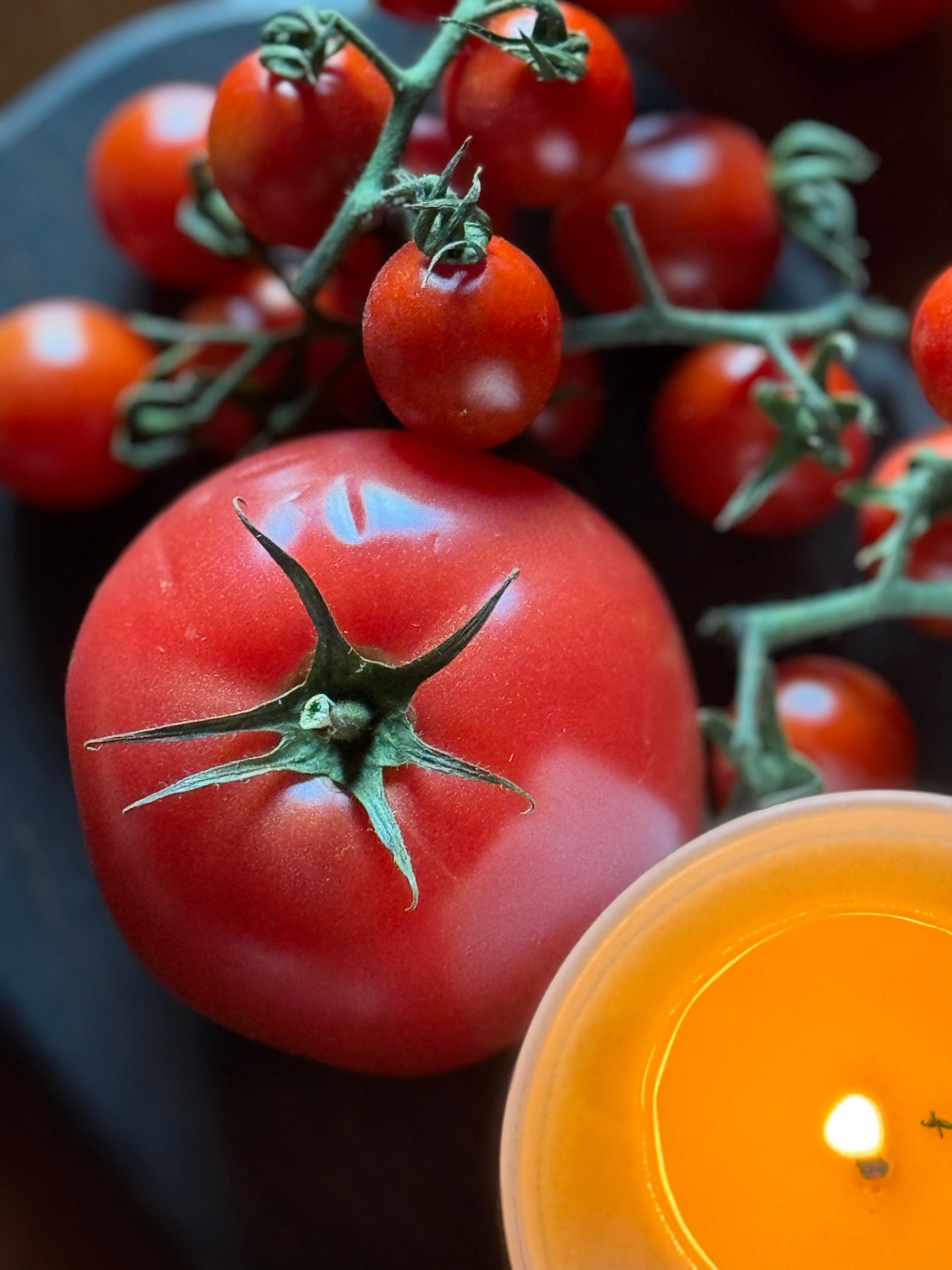 Potting Shed Soy Candle